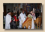 P1010708 (Medium)